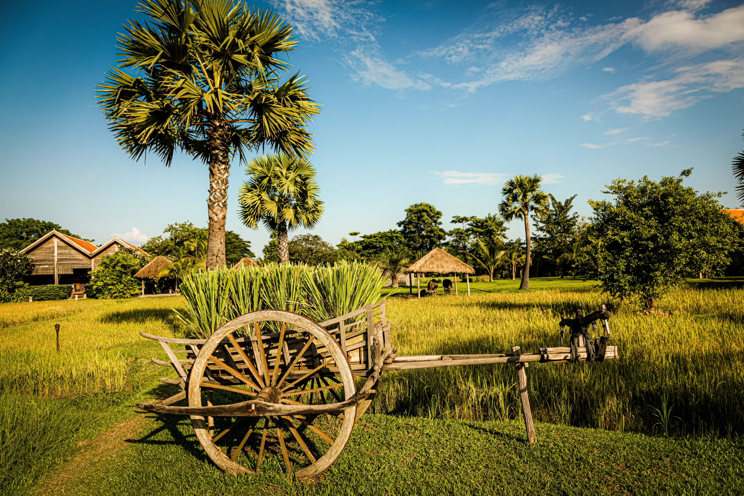 Zannier Hotels Phum Baitang - Garden & Grounds 19 - © Patricia Parinejad for Zannier Hotels